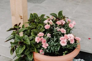 regielskie_chaty_regiel_domki_na_wynajem_mazury_-100 regielskie_chaty_regiel_domki_na_wynajem_mazury_-100