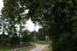 regielskie_chaty_regiel_domki_na_wynajem_mazury_-168 regielskie_chaty_regiel_domki_na_wynajem_mazury_-168