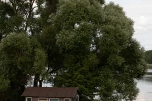 regielskie_chaty_regiel_domki_na_wynajem_mazury_-170 regielskie_chaty_regiel_domki_na_wynajem_mazury_-170